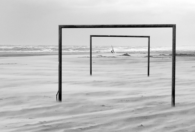 这篇文章将 这篇文章将