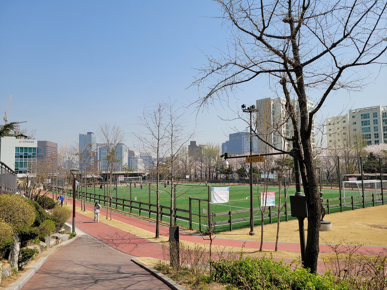 发挥他的优 发挥他的优