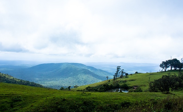老外的极限攀岩真的不会摔死吗？.