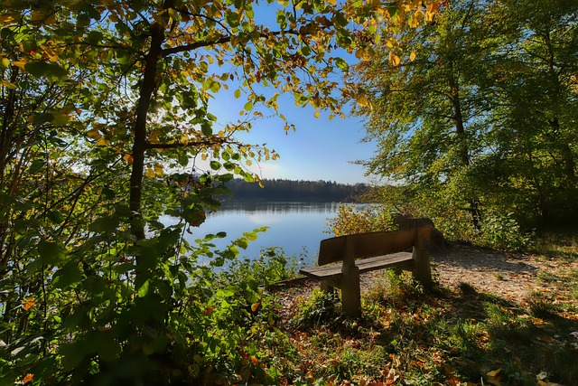 正有潜力影 正有潜力影