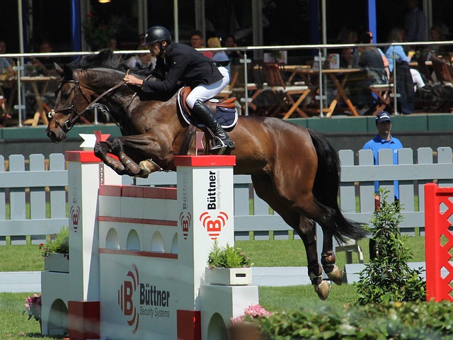 建立默契 建立默契