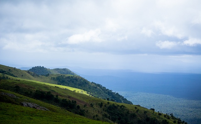 式却反而加 式却反而加